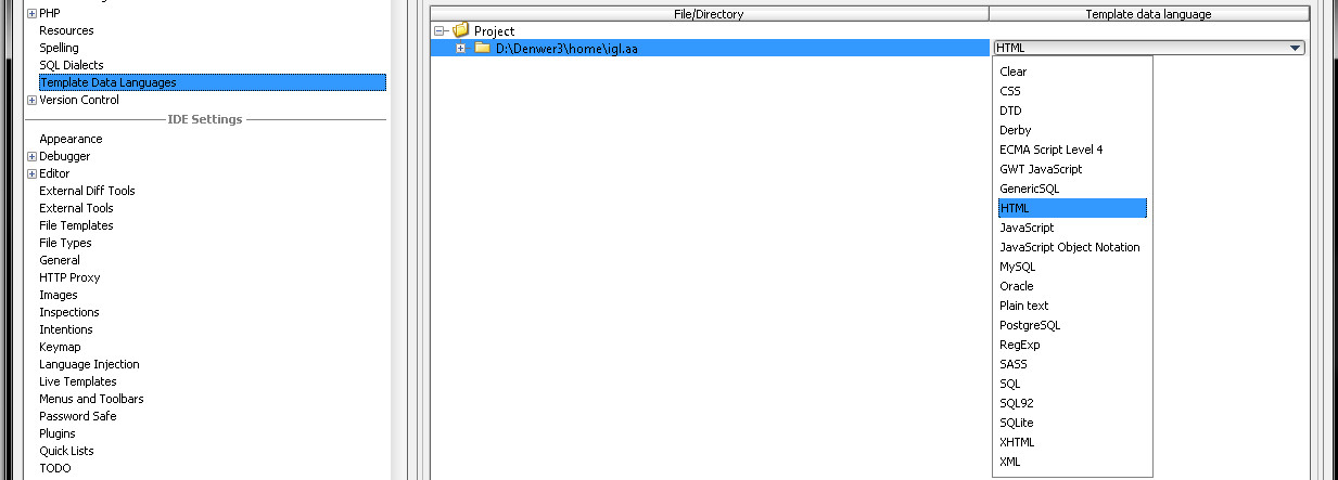 template-data-languages.jpg