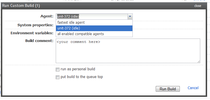 run custom build.PNG