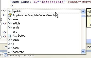 asp intellisense.jpg