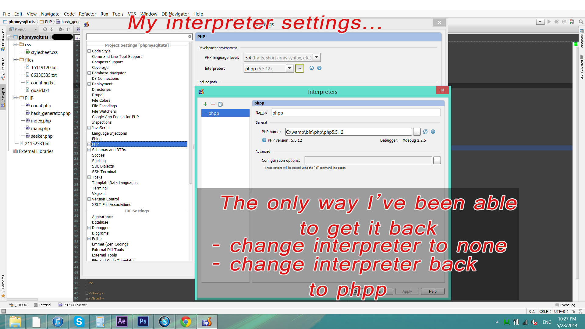 interpreter settingsJPG.JPG