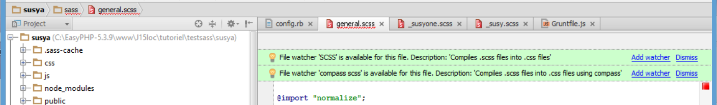 phpstorm-sass-setting.png