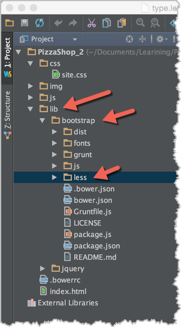 path_1_webstorm.png