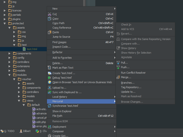 How to schedule a file for adding to the VCS – IDEs Support (IntelliJ ...